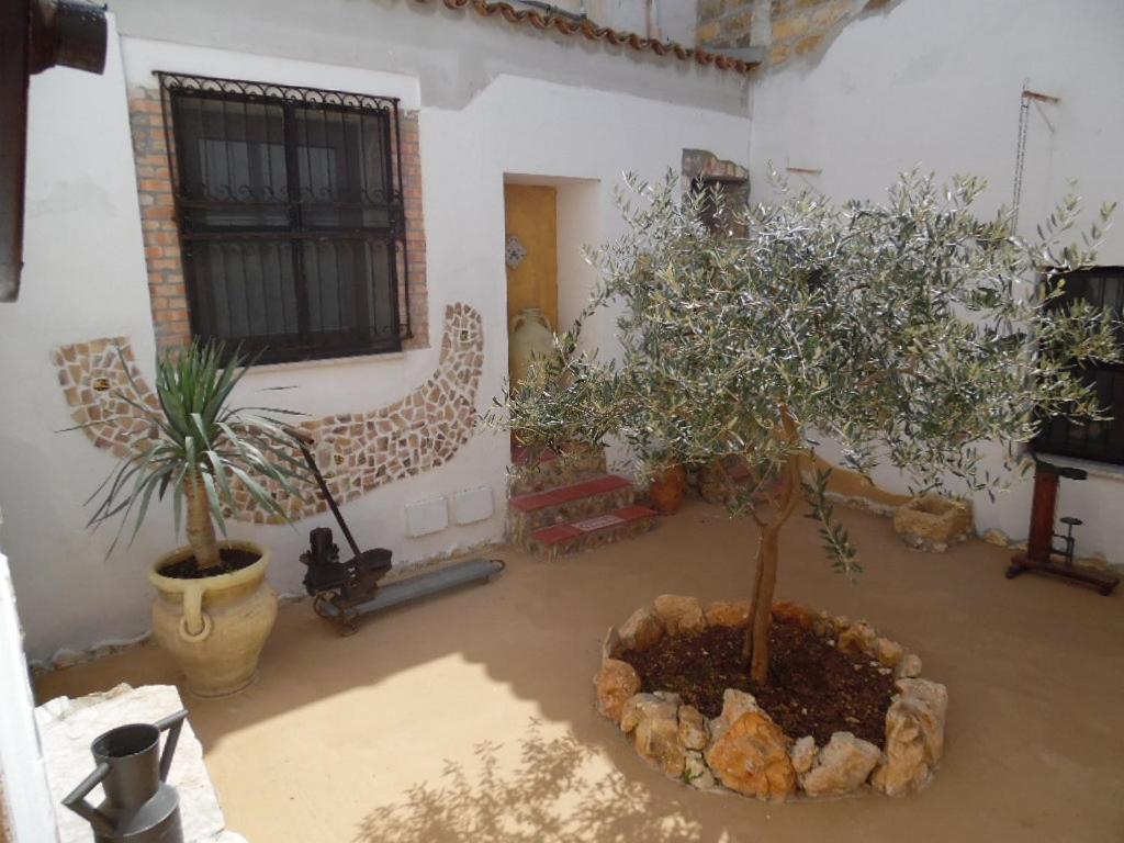 Вилла Casa Degli Ulivi 21 Кастелламмаре-дель-Голфо Экстерьер фото